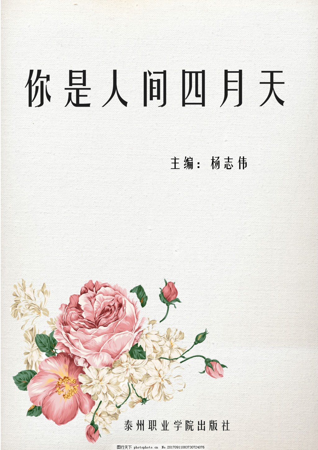 猫咪网最新入口